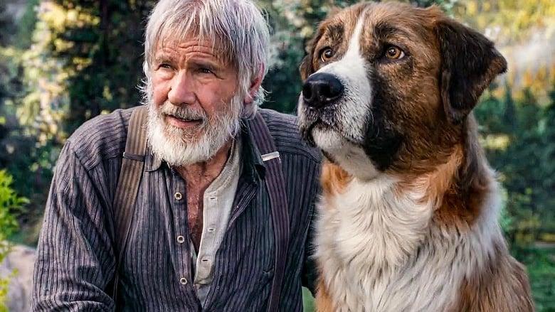 L Appel De La Forêt Netflix L'appel de la forêt - film - 2020 - Résumé, critiques, casting.